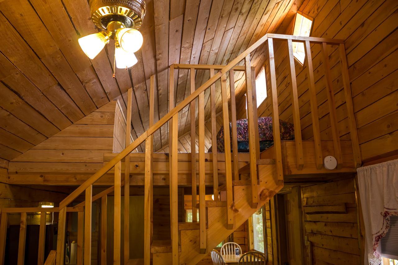 Midnight Sun Log Cabins Moose Pass Exterior foto
