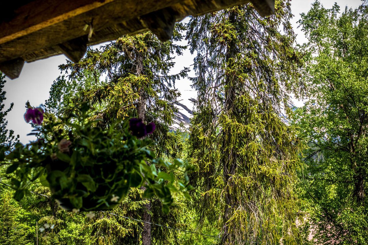 Midnight Sun Log Cabins Moose Pass Exterior foto